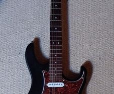 Cort g110