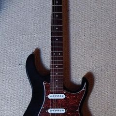 Cort g110