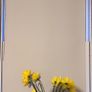 Blackout Roller Blinds Image 2
