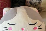 Super Soft Cat Teddy