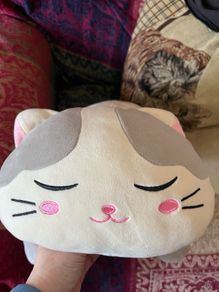 Super Soft Cat Teddy