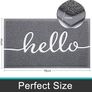 Door Mat, Dirt Trapper Doormats Non Slip Low Profile Durable Door Mat for Outdoor, Indoor, Entrance, Patio, Front Back Door  (44 x 76cm, Grey) Image 2