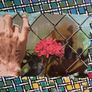 Original mid century Signed Limited edition Joe Tilson RA print/collage 1971 Image 8