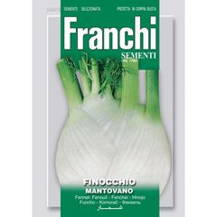 (F) Fr. Fennel seeds Finocchio Monteblanco Large 7g pack (880645)
