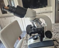 Brunel Electric Microscope
