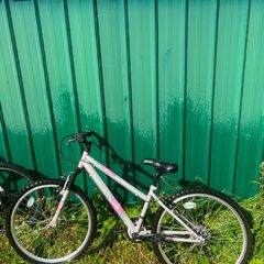 womens apollo mountain bike