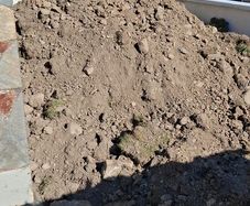 soil