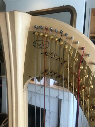 Salvi Daphne 40 Pedal Harp in Perfect Condition