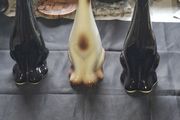 3 Porcelain Dogs for sale as a lot, Postage Available