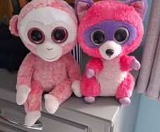 TY teddys