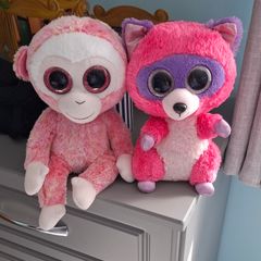 TY teddys