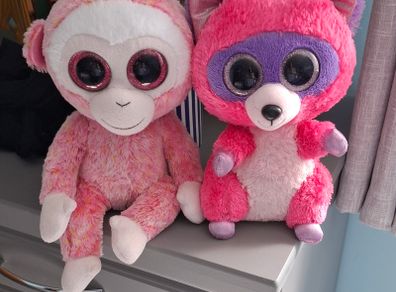 TY teddys