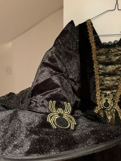 Halloween witch costume