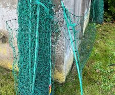 Poultry fencing-Electric