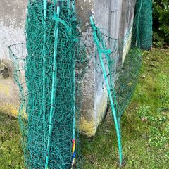 Poultry fencing-Electric