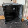 Large dog crate and cover Image 2