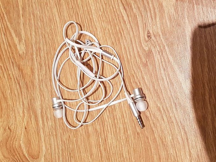 Earphones