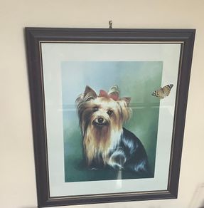 Beautiful Large Yorkshire Dog Framed Picture
