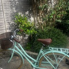 Somerby- Ladies bike
