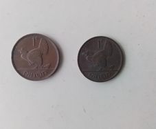 2.Irish Pennies.