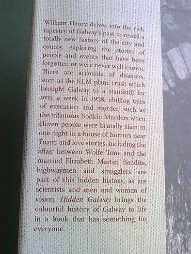 Hidden Galway Gallows Garrisons and Guttersnipes Local history