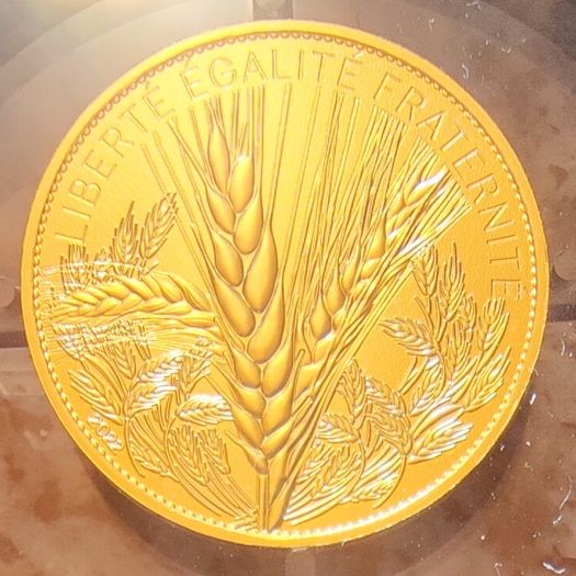 France 250 Euro Gold (.999) Brilliant Uncirculated Coin 2022 - Wheat - Natures de France - Rose Spot