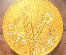 France 250 Euro Gold (.999) Brilliant Uncirculated Coin 2022 - Wheat - Natures de France - Rose Spot