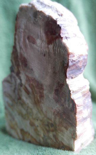 Dolomite Slab Rolling Hills Dolomite