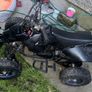 Quad Image 2