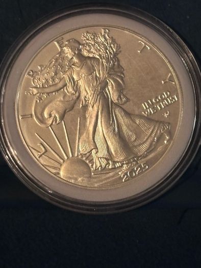 1oz silver Coins