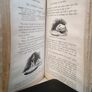 Blackie's Irish Readers Sixth Reader (HQ279) Image 6