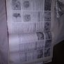 Haynes Manual -  AUDI A3 Petrol and Diesel Image 3