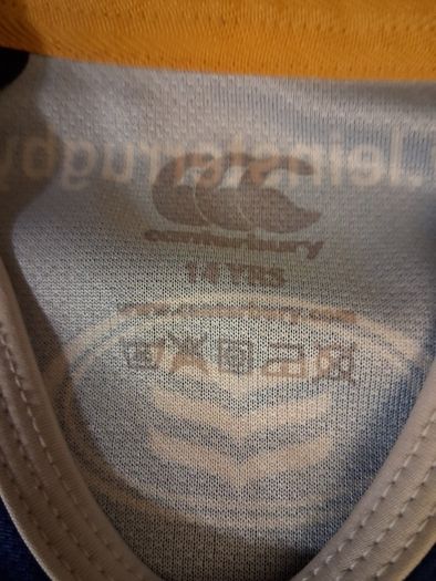 Leinster Jersey. Official Canterbury Leinster Rugby Home Jersey. Collect In Dublin Or Receive Via Post.