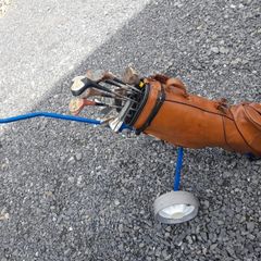 Golf Trolly , Bag and Clubs