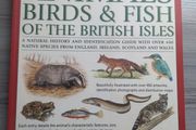Animals Birds &amp; Fish Of The British Isles