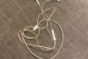 apple earphones