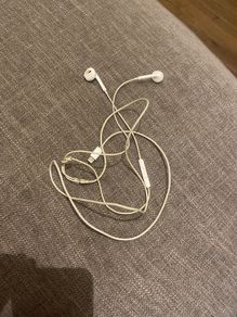 apple earphones