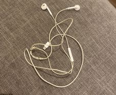 apple earphones