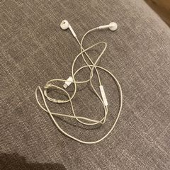 apple earphones