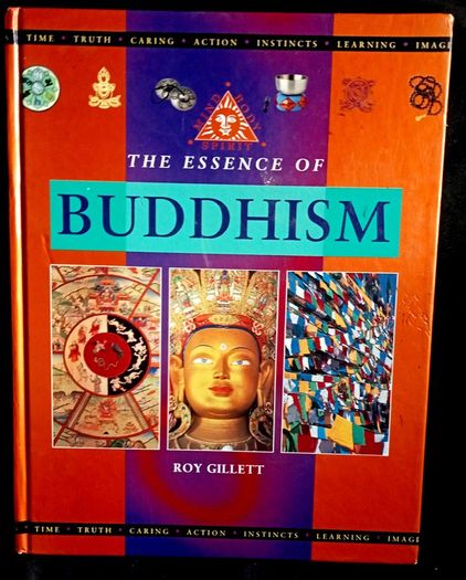 The Essence Of Buddhism (Mind, Body, Spirit) by Roy Gillett - Large Hardback