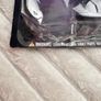 Edgar Allan Poe Action Figure Accoutrements Raven approx. 13 cm. Damaged Box Please see photos Image 7