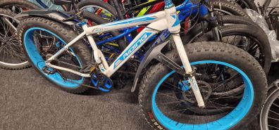fat bike