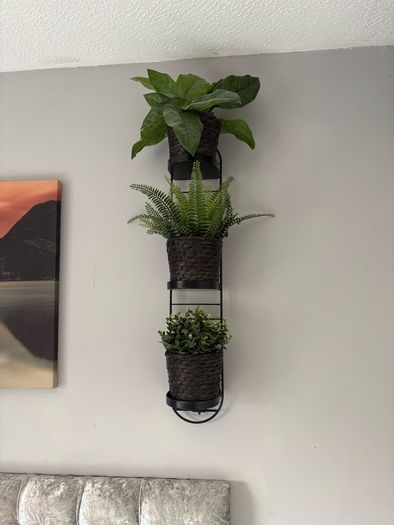 plants