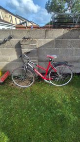 womens bike
