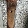 Bird feeder Image 2