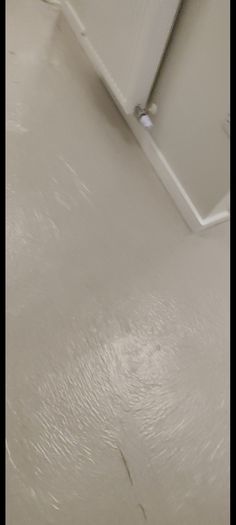 Fitted Carpet