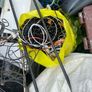 Scrap Image 6