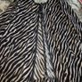 Luxe Zebra Statement Coat by JD Williams UK 18 (Generous Fit), AV Image 7