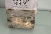 20 LED Bird Lights