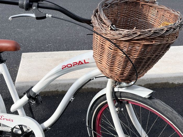 Popal dutch female city Bike